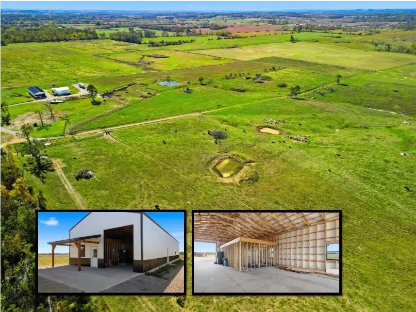 13163 State Route Ff, West Plains, MO 65775 - Image #2