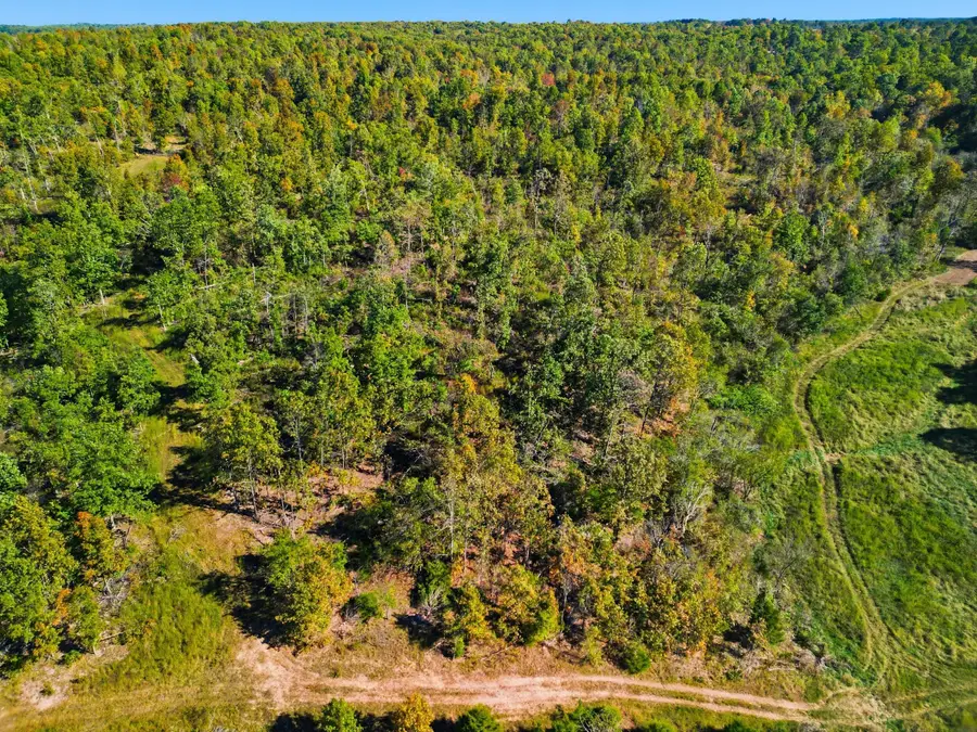 13163 State Route Ff, West Plains, MO 65775 - Image #3