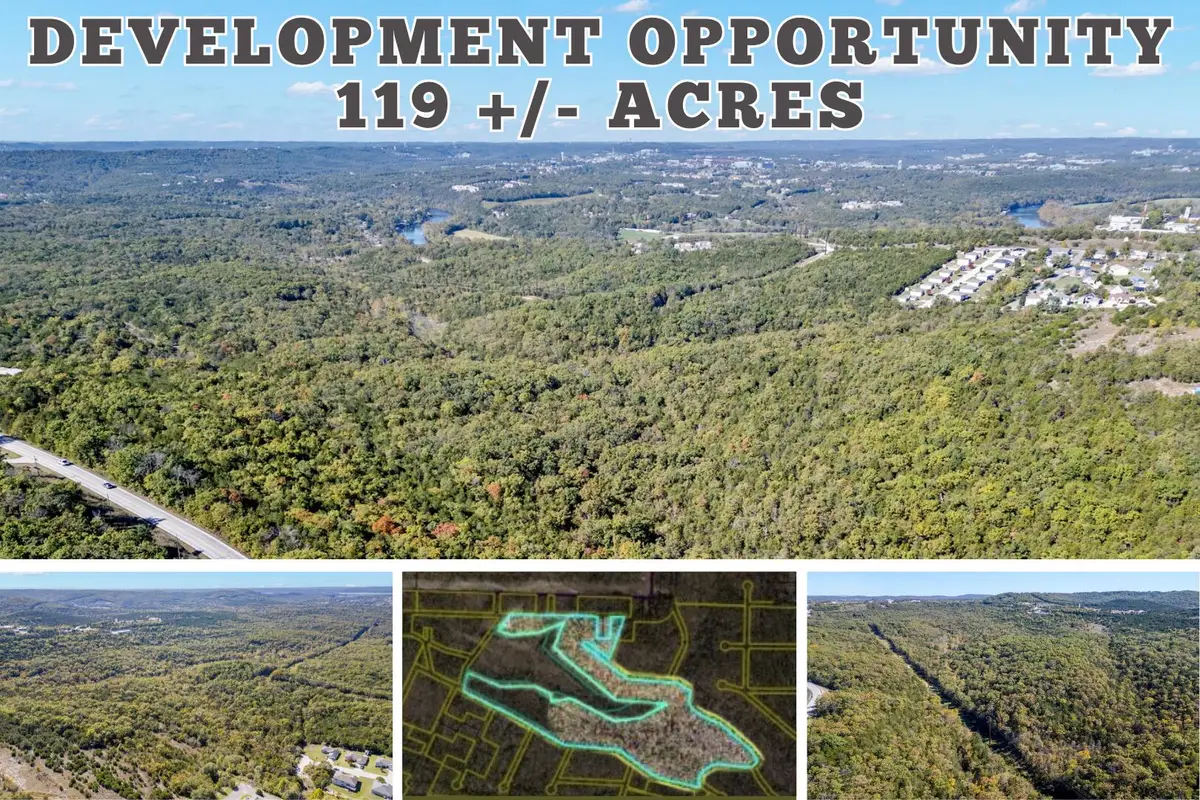 Tbd Historic Highway 165, Hollister, MO 65672 - Image #1