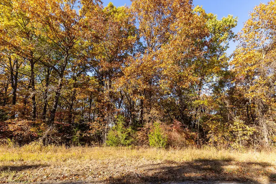 120 State Road K, Long Lane, MO 65590 - Image #2