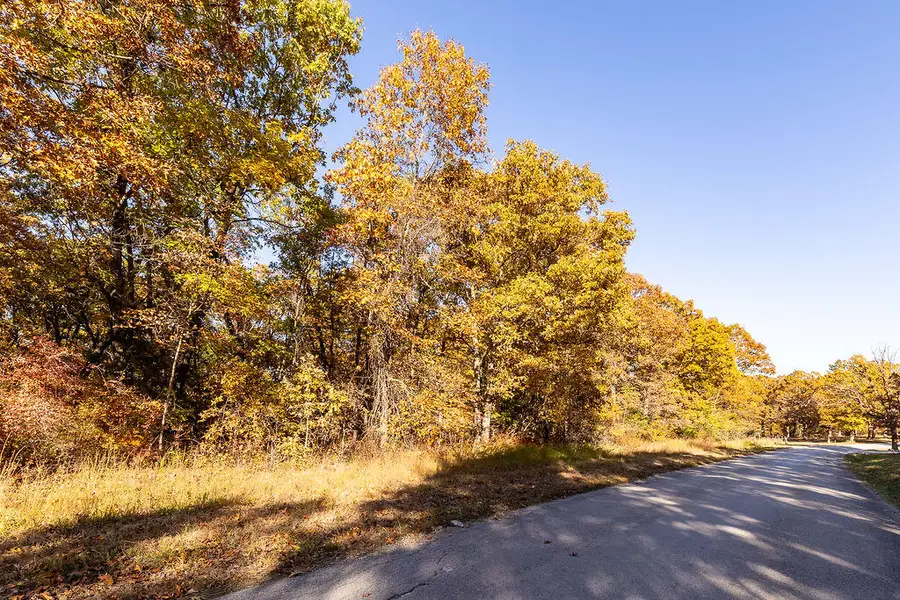 120 State Road K, Long Lane, MO 65590 - Image #3