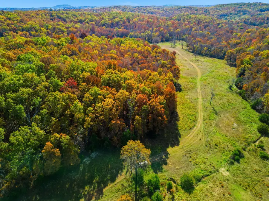 6201 State Highway W, Dora, MO 65637 - Image #3