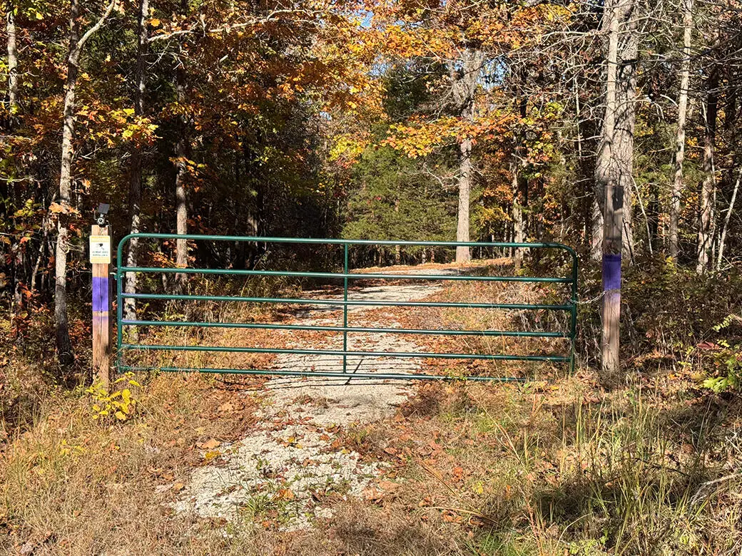 26001 Cedar Lane, Urbana, MO 65767 - Image #1