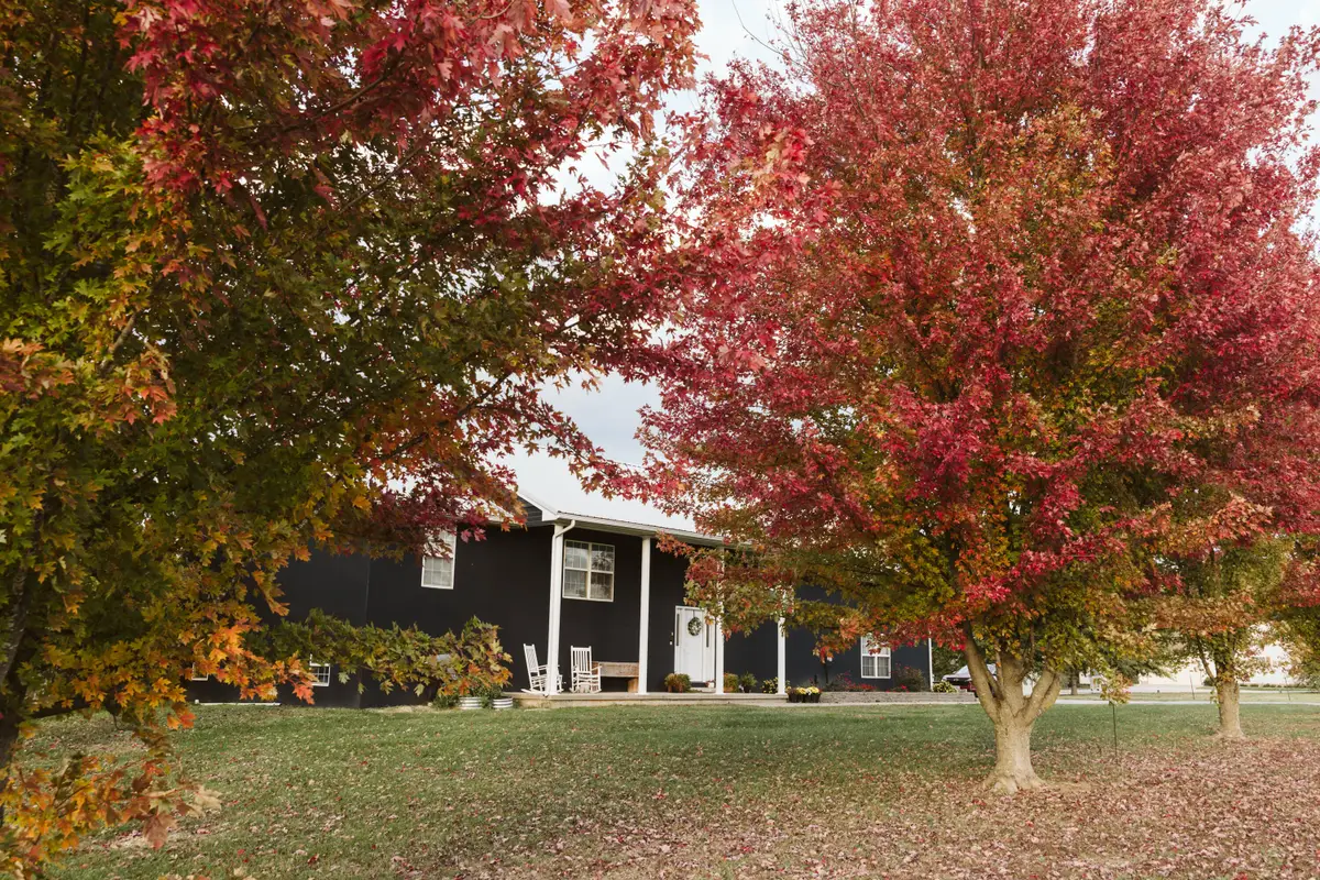 1637 E 541st Road, Brighton, MO 65617 - Image #1