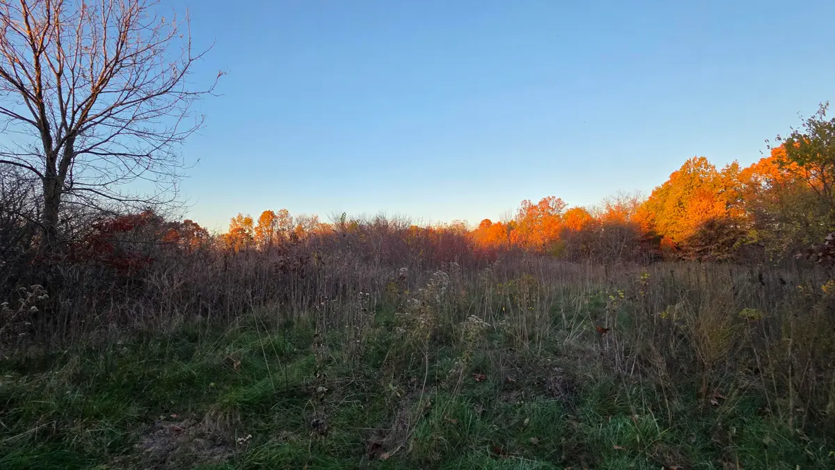 000 Lawrence 2152 Road, Wentworth, MO 64873 - Image #1