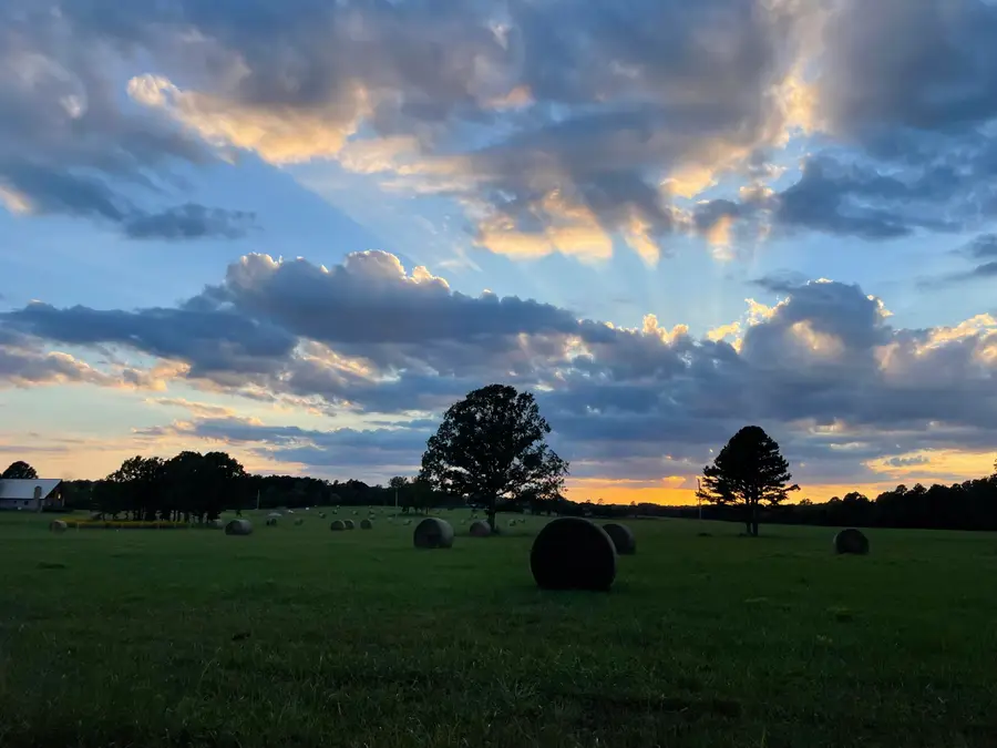 16165 Highway Af, Licking, MO 65542 - Image #2