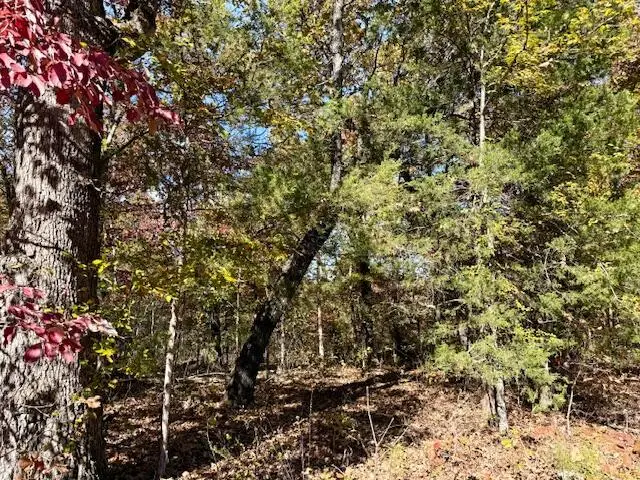 000 Private Road 5-200, Gainesville, MO 65655 - Image #2