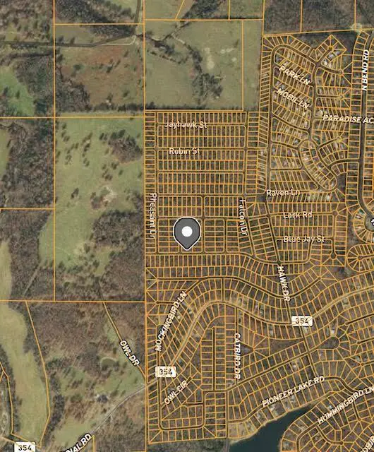 1005 Chickadee Street, Horseshoe Bend, AR 72512 - Image #1