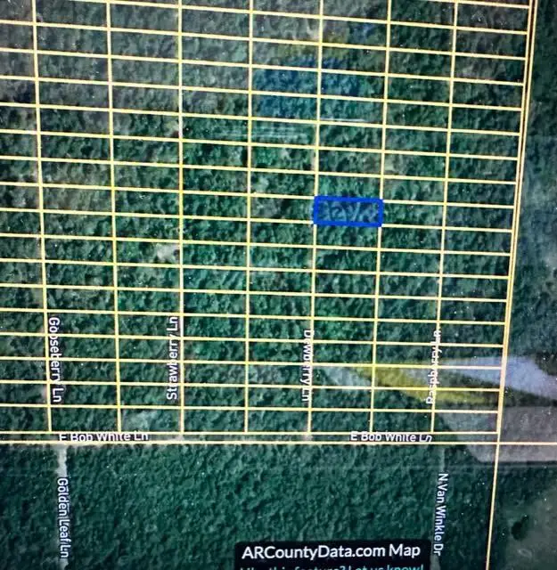 1316 Dewberry Lane, Horseshoe Bend, AR 72512 - Image #1