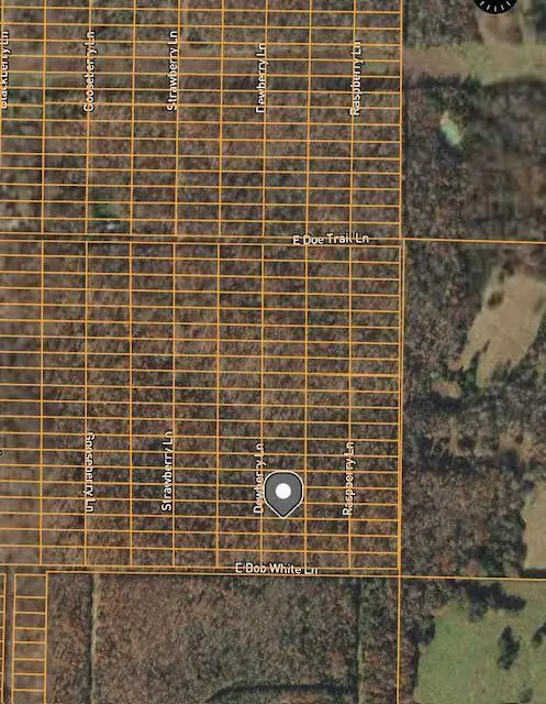 1312 Dewberry Lane, Horseshoe Bend, AR 72512 - Image #1