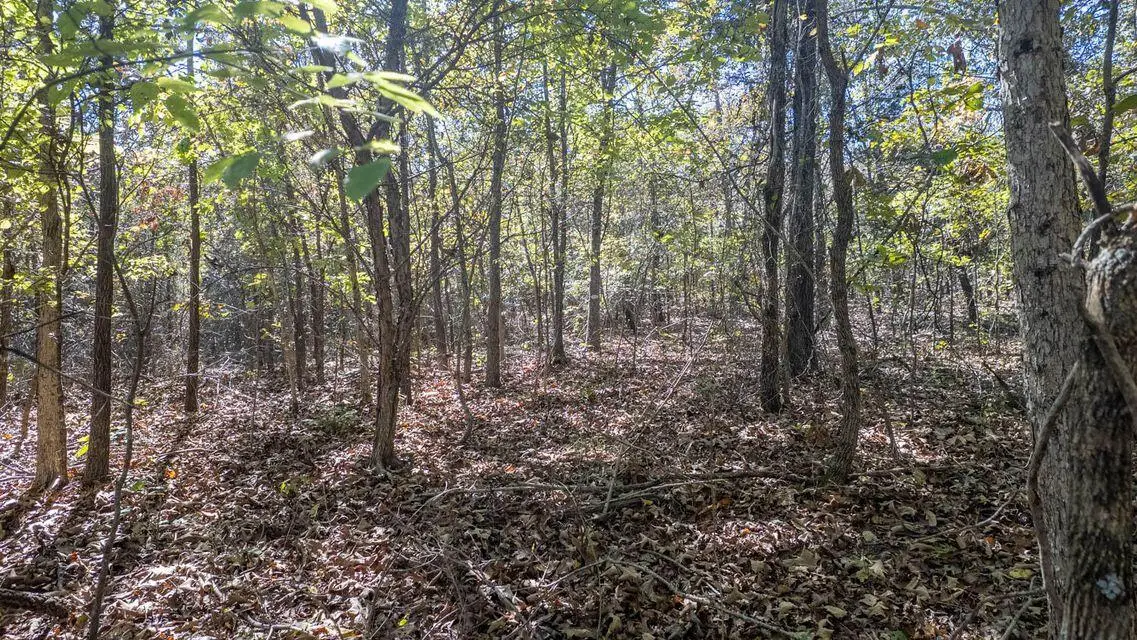 000 Cheetowaha Circle, Cherokee Village, AR 72529 - Image #1