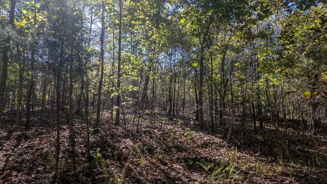 000 Wetumka Drive, Cherokee Village, AR 72529 - Image #1