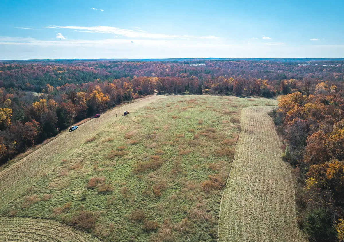 000 Deason Drive, Licking, MO 65542 - Image #1