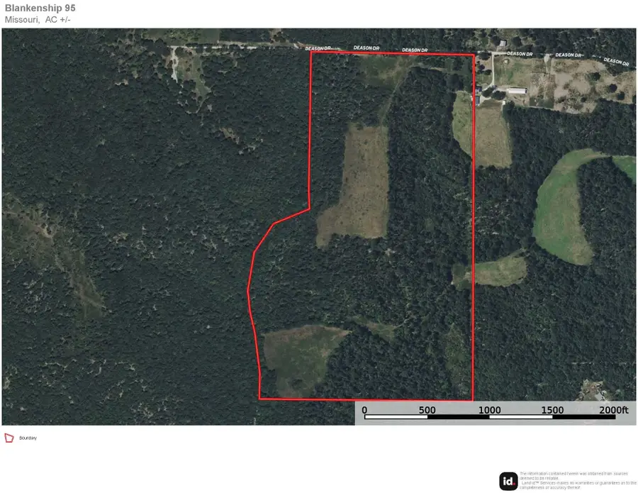 000 Deason Drive, Licking, MO 65542 - Image #3