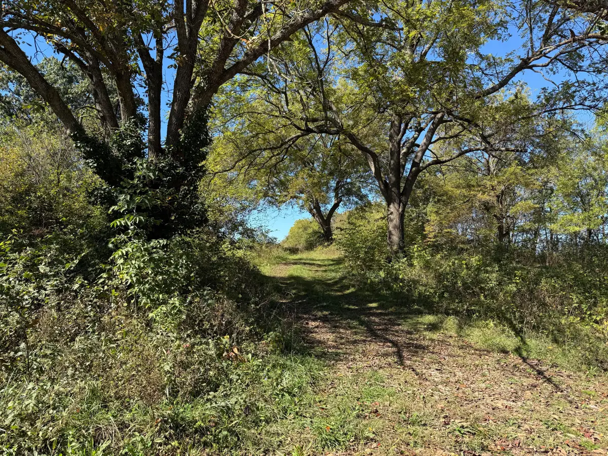 Xxx Teal Drive, Newtonia, MO 64853 - Image #1