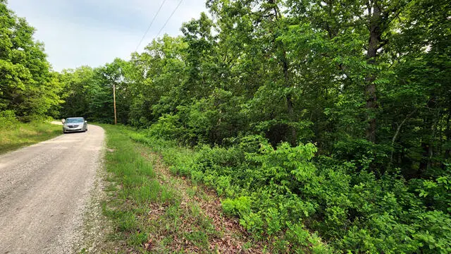 Lot 144 Forbes Lake Of The Ozark Park,, Edwards, MO 65326 - Image #3