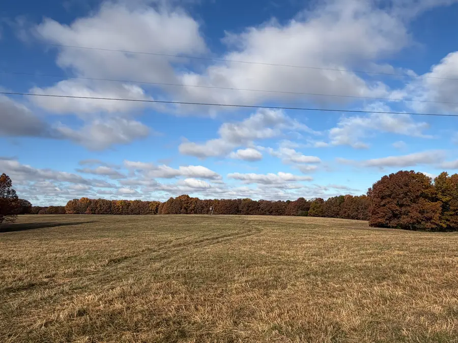 Tbd SE 1325 Road, Weaubleau, MO 65774 - Image #2