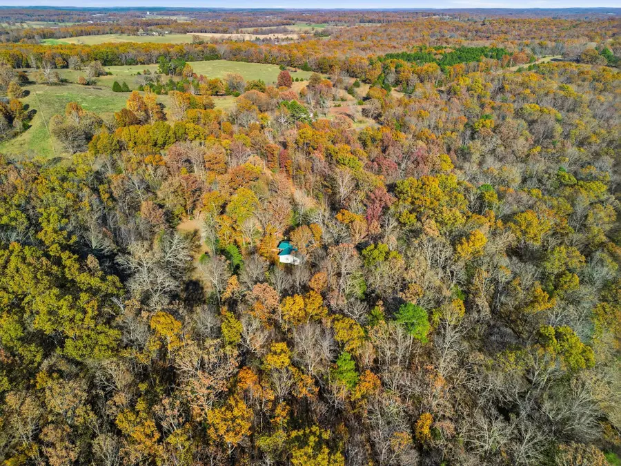 214 State Route Kk, Pottersville, MO 65790 - Image #3