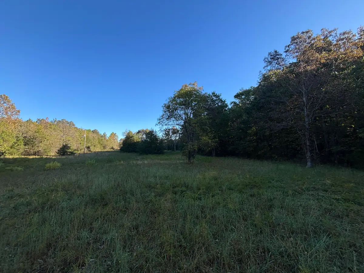 000 Timbercrest Road, Mammoth Spring, AR 72554 - Image #1