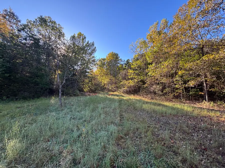 000 Timbercrest Road, Mammoth Spring, AR 72554 - Image #3