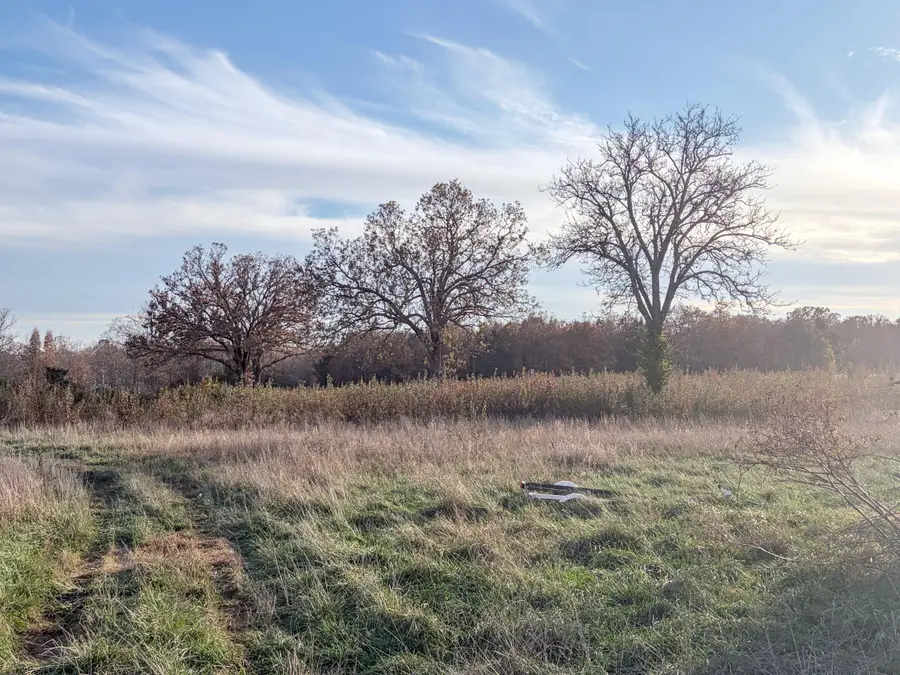 000 County Road 8530, West Plains, MO 65775 - Image #3