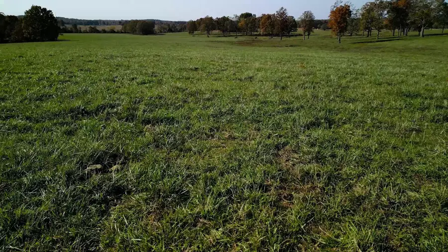 000 County Road 7520, Moody, MO 65777 - Image #2