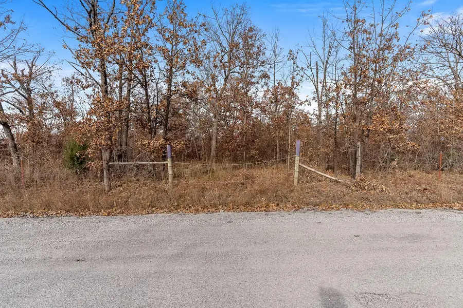0000 Leadmine Road, Tunas, MO 65764 - Image #3