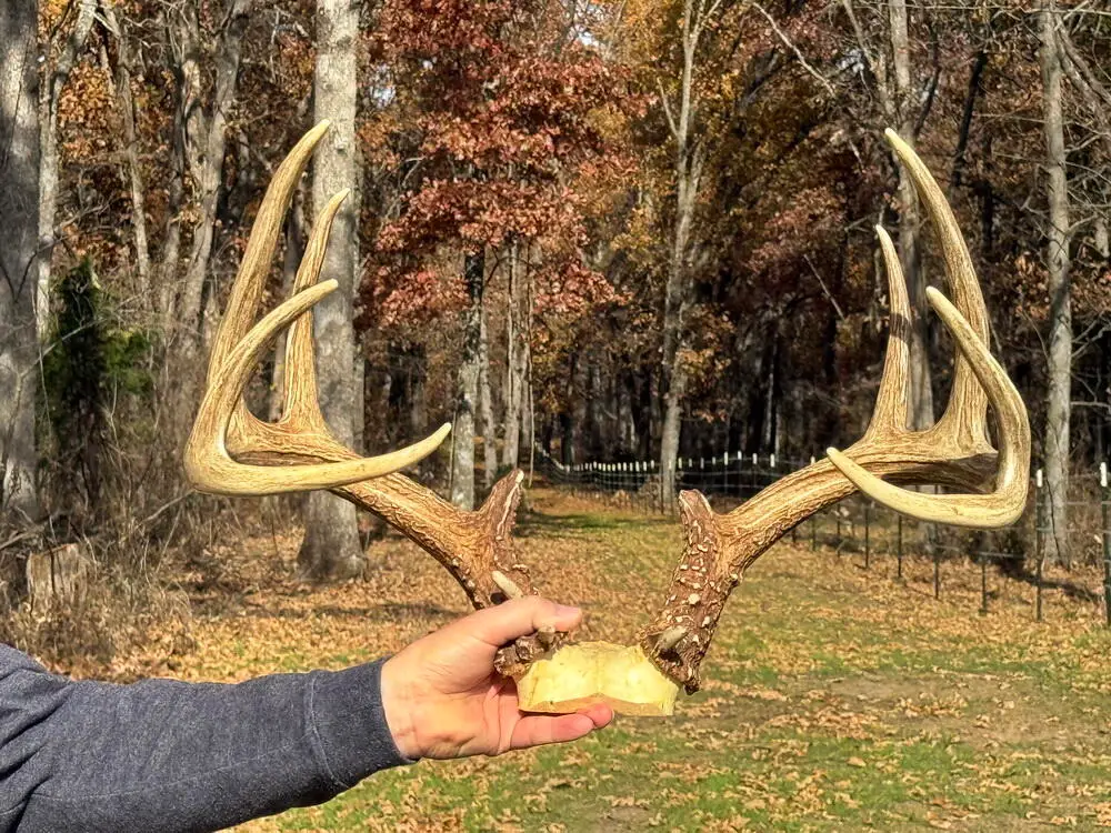 6745 E Hwy Cc, Stockton, MO 65785 - Image #1