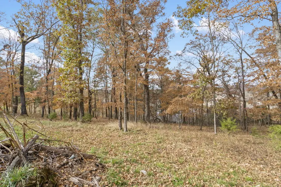 5799 State Highway T, Branson, MO 65616 - Image #2