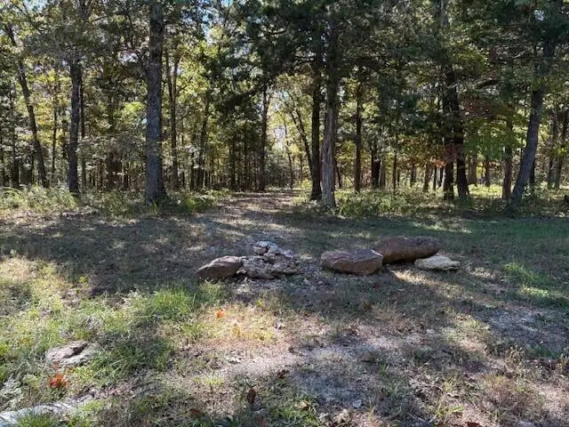 280 Millwood Drive, Reeds Spring, MO 65737 - Image #2