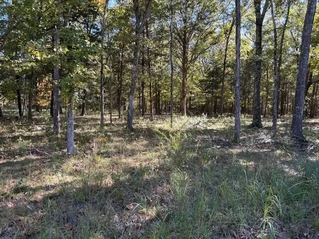 280 Millwood Drive, Reeds Spring, MO 65737 - Image #3