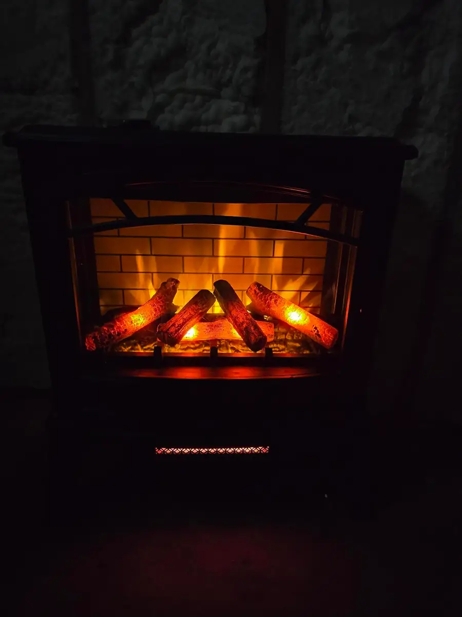 377 Apricot Lane, Reeds Spring, MO 65737 - Image #2