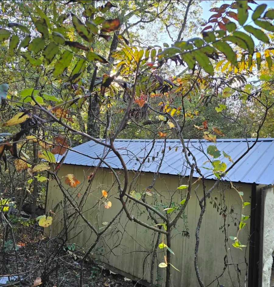 377 Apricot Lane, Reeds Spring, MO 65737 - Image #3