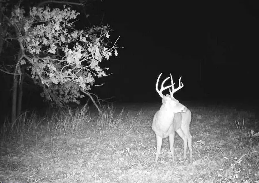 000 S J, Stockton, MO 65785 - Image #2