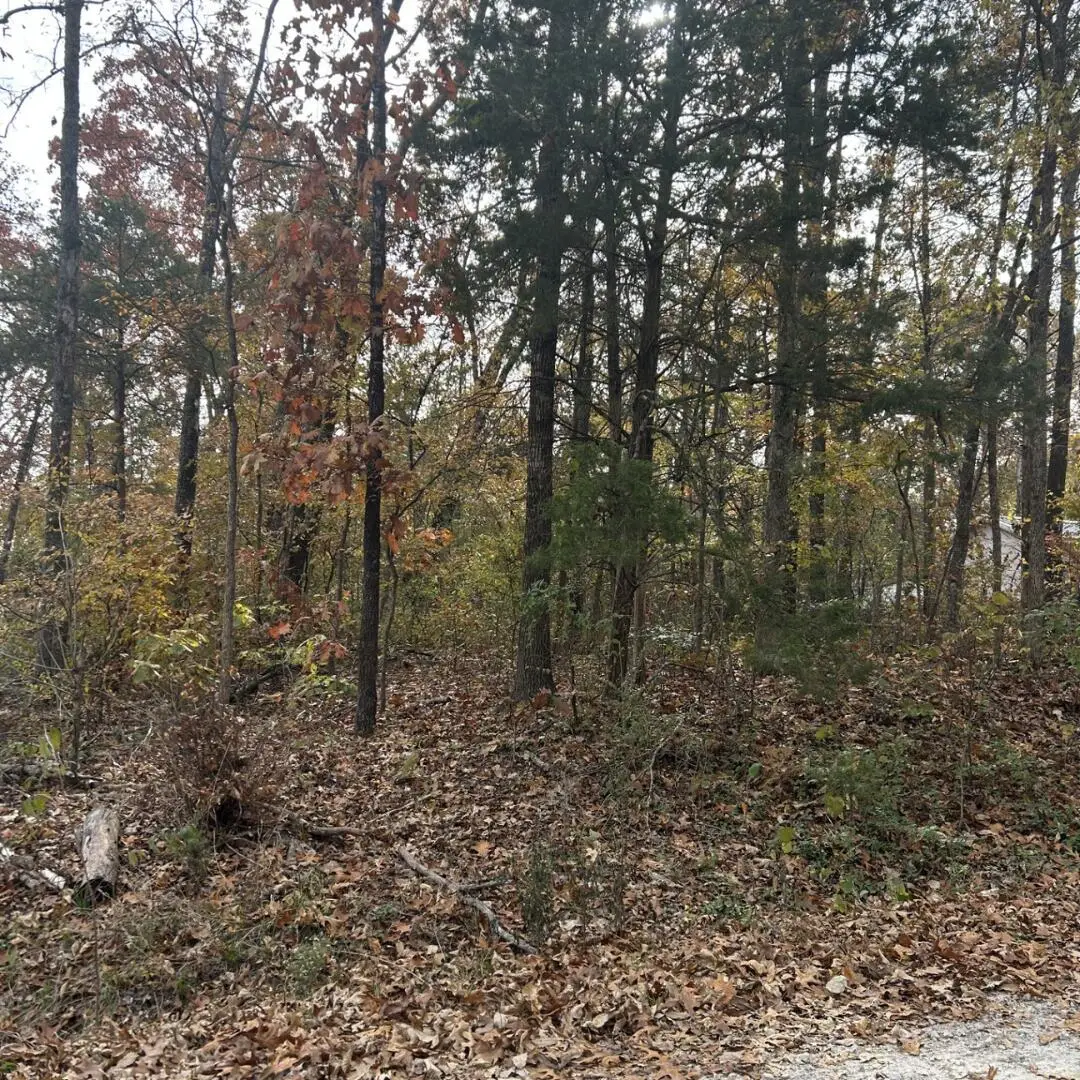 000 Vine Road, Merriam Woods, MO 65740 - Image #1