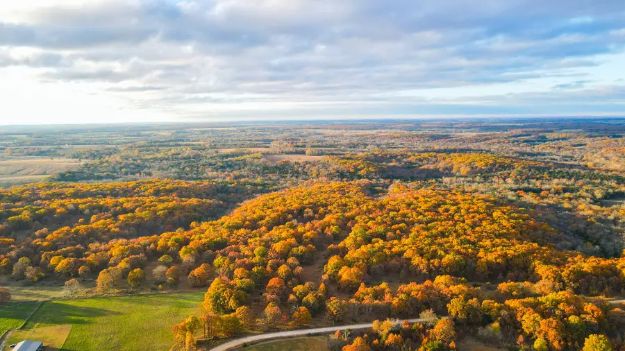 0000 County Road 64, Wheatland, MO 65779 - Image #2