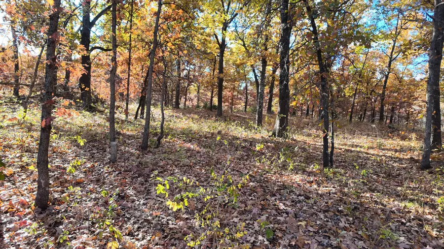 0000 County Road 64, Wheatland, MO 65779 - Image #3