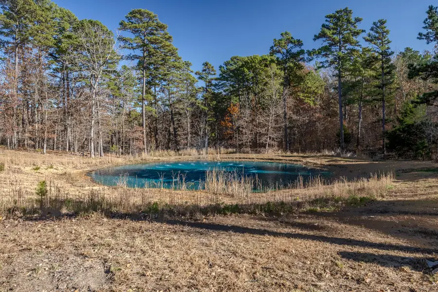 28216 Private Road 3503, Ava, MO 65608 - Image #3