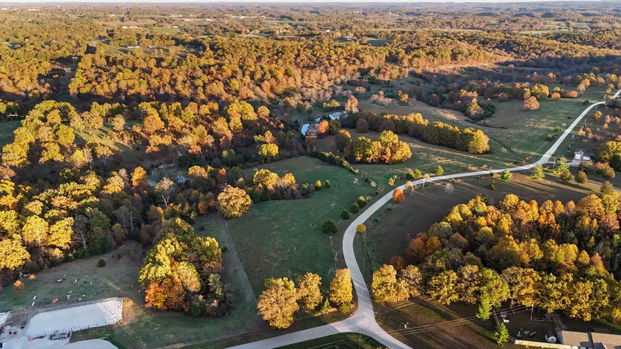 000 Weatherby Drive #89.34 Acres, Fordland, MO 65652 - Image #2