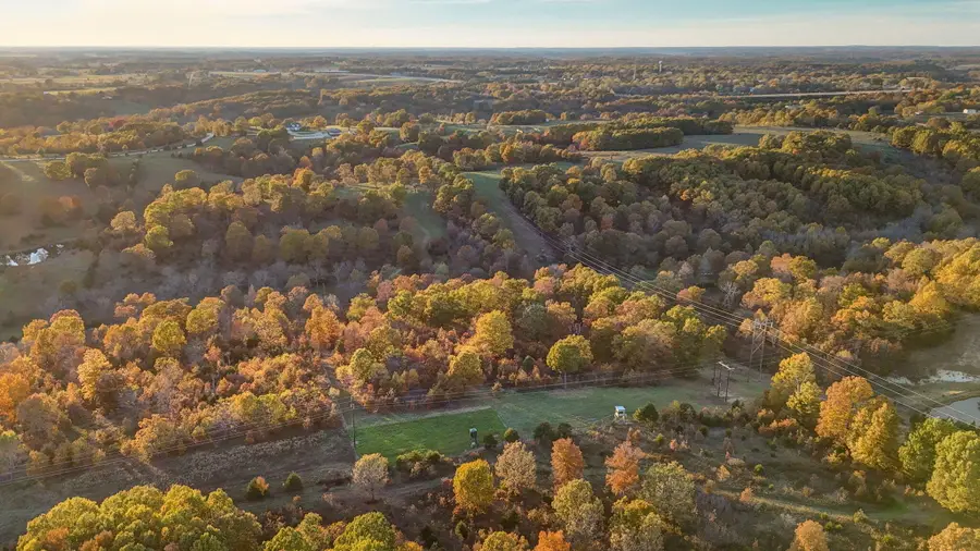 000 Weatherby Drive #20 Ac Tract, Fordland, MO 65652 - Image #3