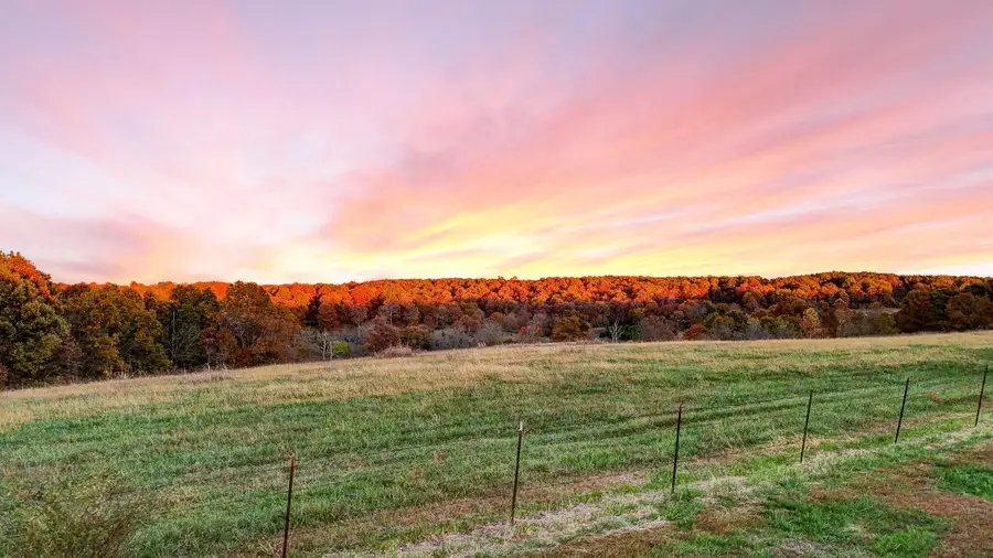 000 Weatherby Drive #South 25 Ac Tract, Fordland, MO 65652 - Image #3