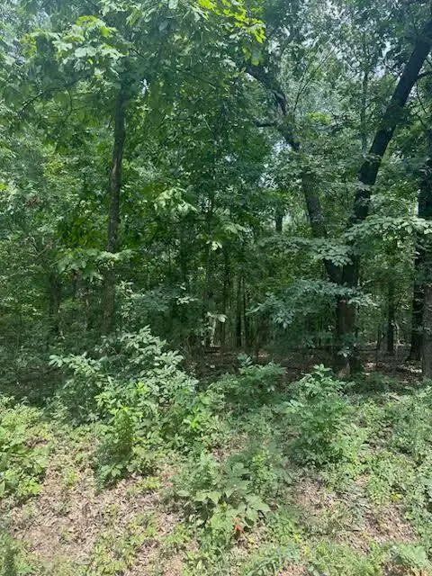 000 Private Road Cc-200, Alton, MO 65606