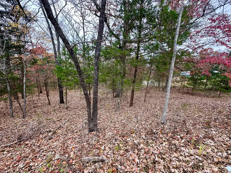 153 County Road 624, Isabella, MO 65676 - Image #3