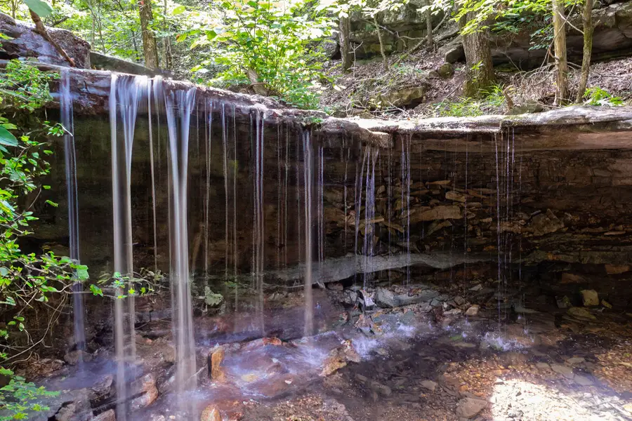 537 Watson Road, Branson, MO 65616 - Image #3