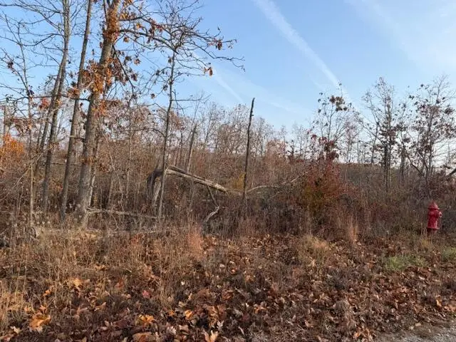 0000 Fox Cir Drive, Mountain View, MO 65548 - Image #2