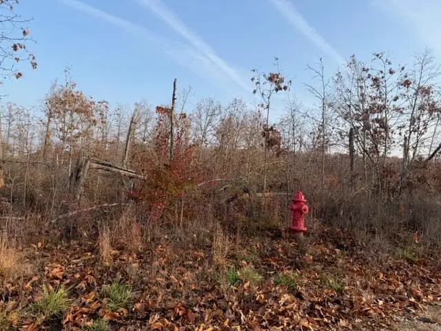 0000 Fox Cir Drive, Mountain View, MO 65548 - Image #3