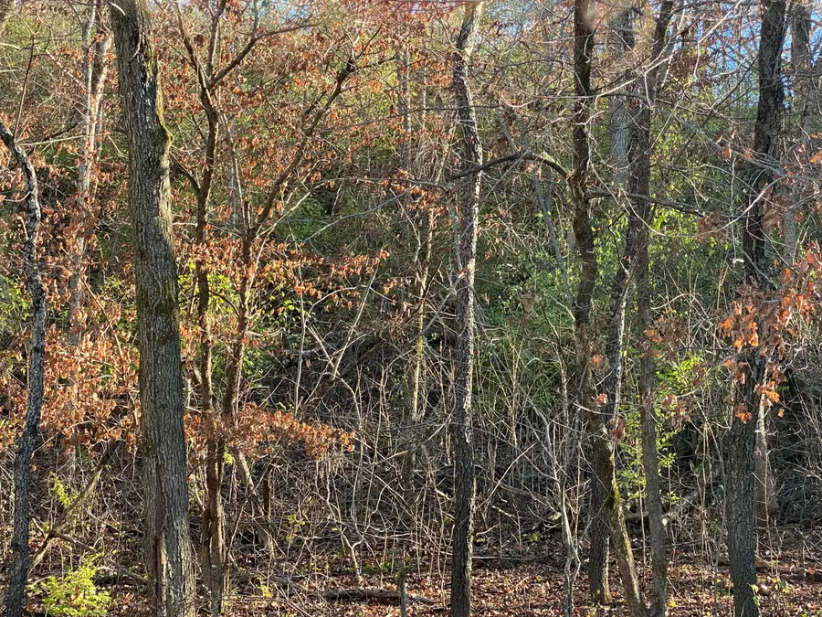 0 E Redbud Street, Springfield, MO 65804 - Image #2