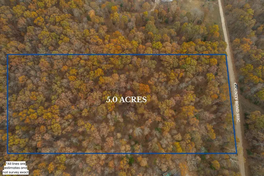 Lot 28 County Road 555 C, Tecumseh, MO 65760 - Image #3