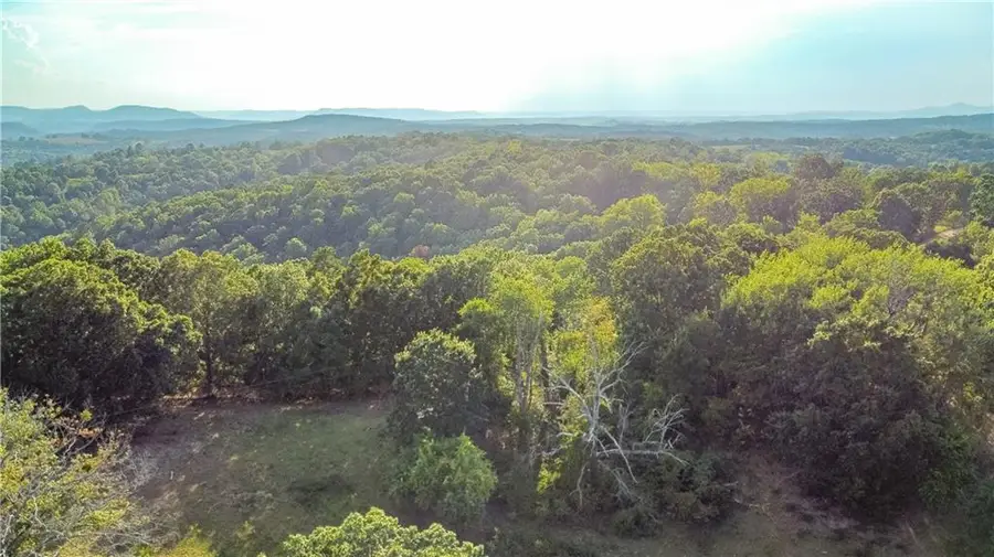 400 Fowler Spring Road, Saint Joe, AR 72675 - Image #3