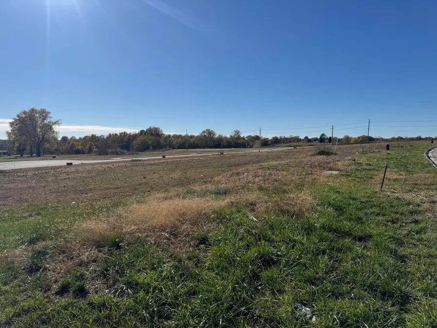 1309 E Charlton Street, Republic, MO 65738 - Image #3